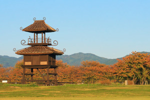Tawaramoto (Nara)